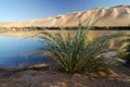 Ubari Oasi, Fezzan, Libya