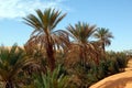 Ubari Oasi, Fezzan, Libya