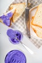 Ube Halaya. Halayang Ube Royalty Free Stock Photo