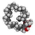 Ubiquinol molecule. Reduced form of coenzyme Q10. 3D rendering. Atoms are represented as spheres with conventional color coding: