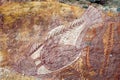 Ubirr Fish rock art