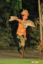 Ubud, Bali, Indonesia - January 31 2024: young dancers perform the butterfly dance