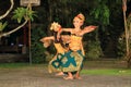 Ubud, Bali, Indonesia - January 31 2024: young dancers perform the butterfly dance