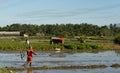 Ubud, Bali, Indonesia- May 7, 2019 : Unitedtified man works at rice field in Ubud, Bali, Indonesia Royalty Free Stock Photo