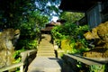 Ubud Monkey Forest