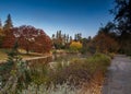 UC Davis Arboretum in the Autumn