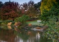 UC Davis Arboretum in the Autumn