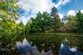 UC Davis arboretum garden with trees and pond Royalty Free Stock Photo