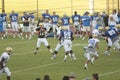 UCLA Bruins Football Scrimmage Royalty Free Stock Photo