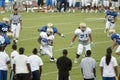 UCLA Football Scrimmage Royalty Free Stock Photo