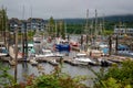 Ucluelet harbour near Tofino, Vancouver island British Columbia Royalty Free Stock Photo