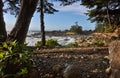 Ucluelet Trail Royalty Free Stock Photo