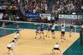 UCSB player jumps to hit volleyball as UH Women's players jump