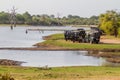 UDA WALAWE, SRI LANKA - JULY 14, 2016: Tourists in safari jeeps in Uda Walawe National Park, Sri Lan