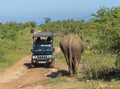 Udawalawe, Sri Lanka: 03/24/2019:Tourists in a safari vehicle viewing elephant in the National Park Royalty Free Stock Photo