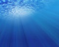 Uderwater scene Royalty Free Stock Photo