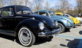 Vintage Beetles in a row during a classic car parade. Royalty Free Stock Photo