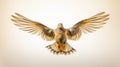 Realistic Mourning Dove Flying Photo With White Background Royalty Free Stock Photo
