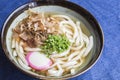 Udon Japanese Noodles Royalty Free Stock Photo