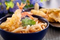 Udon Royalty Free Stock Photo