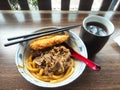 udon noodle with meat and katsu plus ocha drink wallpaper Royalty Free Stock Photo