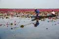 Fisherwoman on blue boat fishing by using fishing traditional fishing net