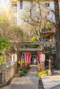 Tourists walking through the torii gates of Hanazono Inari Shrine in Ueno park. Royalty Free Stock Photo