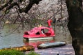 Ueno Park swan boat ride