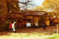 The Ueno park is very popular as one of the nature places in thi