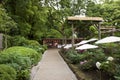 Ueno Toshogu Peony Garden