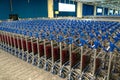 Ufa, Russia april 2, 2020: Airport trolley parking lot with empty trolleys and blue wall. Luggage carts at modern airport