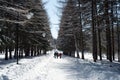 Family Walking in Winter Snow Park