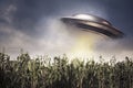 UFO hovering over a crop field Royalty Free Stock Photo