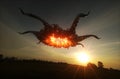 Ufo hovering over field