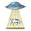 UFO kidnaps the cow color sketch engraving