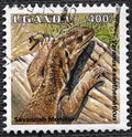 Uganda - CIRCA 1995: Three-horned chameleon on postage stampUganda - CIRCA 1995: Savannah monitor stamp of Uganda, circa