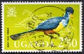 Uganda - circa 1965 : A stamp issued in Uganda shows Great blue turaco.