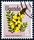 UGANDA - CIRCA 1969: A stamp printed in Uganda from the `Flowers` issue shows Cassia didymobotrya, circa 1969.