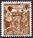 Uganda - circa 1962 : A stamp printed in Uganda shows african farm worker, growing tobacco, Independence of Uganda serie