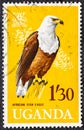 Uganda - circa 1965 : A stamp printed in Uganda shows frican fish eagle, circa 1965.