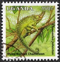 Uganda - CIRCA 1995: Three-horned chameleon on postage stamp of Uganda, circa 1995