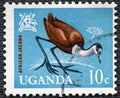 UGANDA - CIRCA 1965: Ugandan used postage stamp depicting African jacana, from the birds series, circa 1965