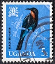 UGANDA - CIRCA 1965: Ugandan used postage stamp depicting Black bee-eater, from the birds series, circa 1965