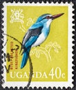 UGANDA - CIRCA 1965: Ugandan used postage stamp depicting Blue breasted kingfisher, from the birds series, circa 1965