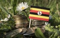 Uganda flag with stack of money coins with grass