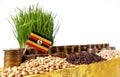 Uganda flag waving with stack of money coins and piles of wheat