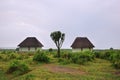 Uganda, Lake George coast, Africa