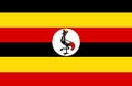 Uganda national Flag background - illustration design