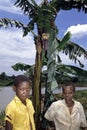 Ugandan Children pose for a banana tree and lake