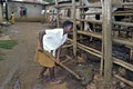 Ugandan Girl makes a cowshed clean